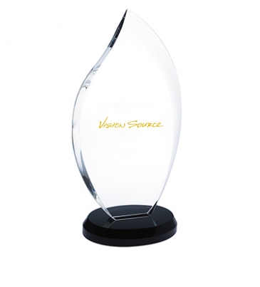 Innovation Award - Small