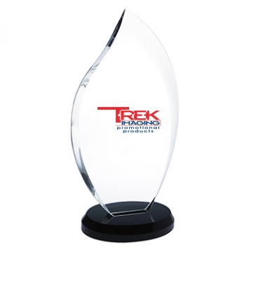 Innovation Award - Small