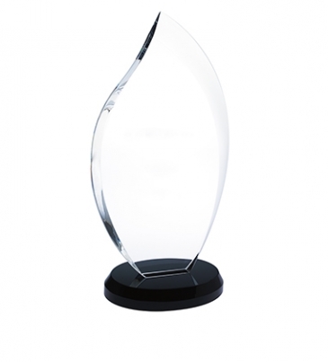 Innovation Award - Small