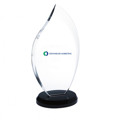 Innovation Award - Small