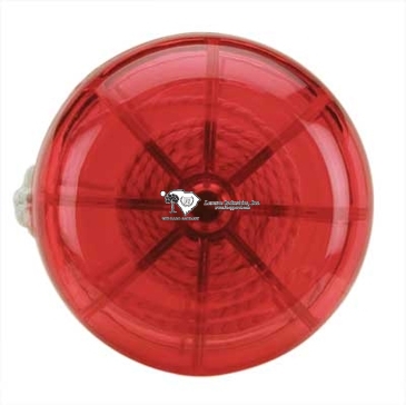 Spinnen Plastic Yo-Yo