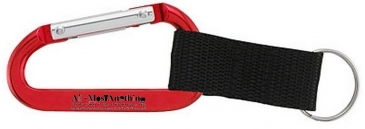 Alta Carabiner Keyring