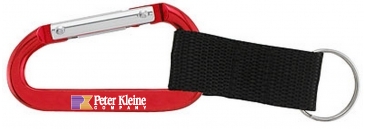 Alta Carabiner Keyring