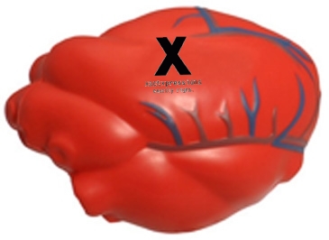 Heart with Blue Veins Stress Reliever