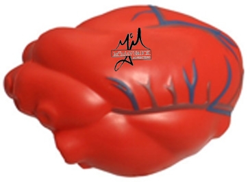 Heart with Blue Veins Stress Reliever