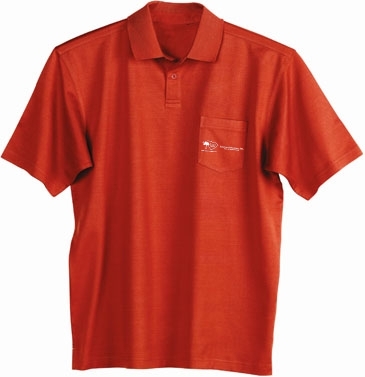 Palmer Men's Double Mercerized Birdseye Pique Polo