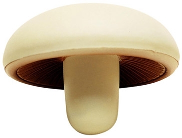 Mushroom Stress Reliever
