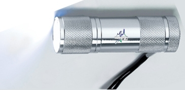 Super Bright 9 LED Blue Aluminum Torch