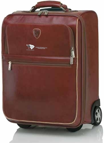 Brown Trolley Case