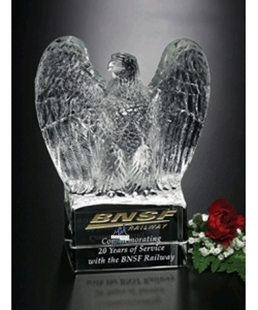 Golden Eagle 7"