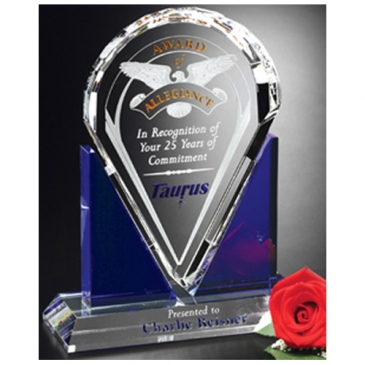 Distinction Award 8-1/2"