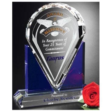Distinction Award 9"