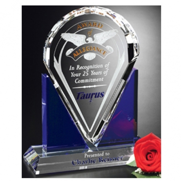 Distinction Award 10-1/2"