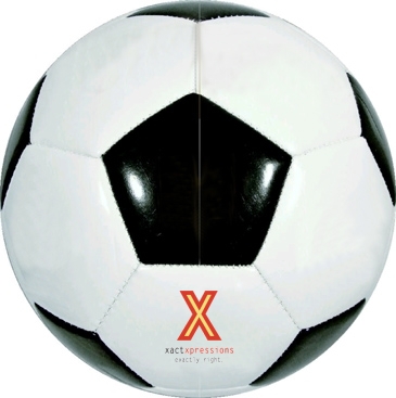 Wilson Synthetic Leather Soccer Balls