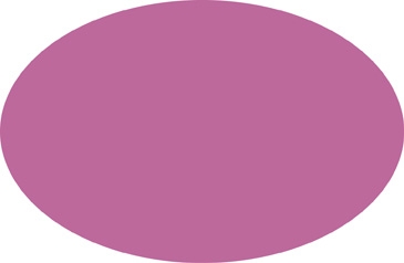 Car Sign Oval Magnet 3-3/4 x 5-3/4