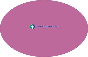 Car Sign Oval Magnet 3-3/4 x 5-3/4