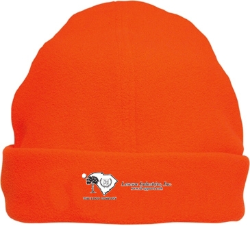 Luminescent Safety Beanie - Toque