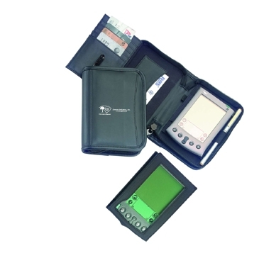 D'Italia PDA Case