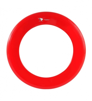 Zing Ring Flyer