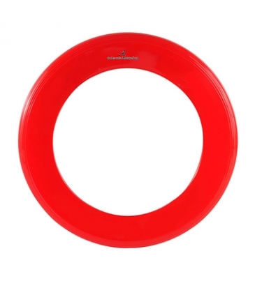 Zing Ring Flyer