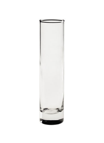 Clear Bud Vase