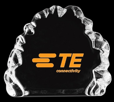 Small Iceburg Award