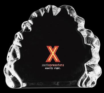 Small Iceburg Award