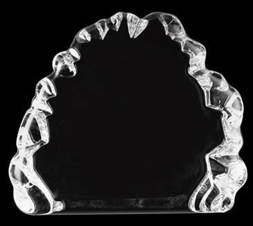 Small Iceburg Award
