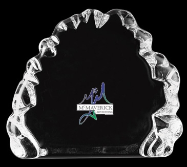 Small Iceburg Award