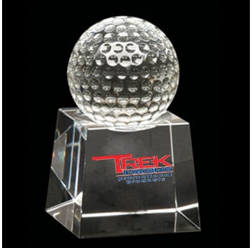 Medium Westminster Award