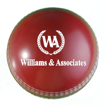 Cricket Stress Ball