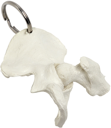 Hip Bone Keyring