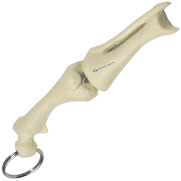 Knee Joint Bone Keyring