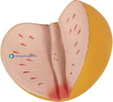 Prostate Stress Reliever