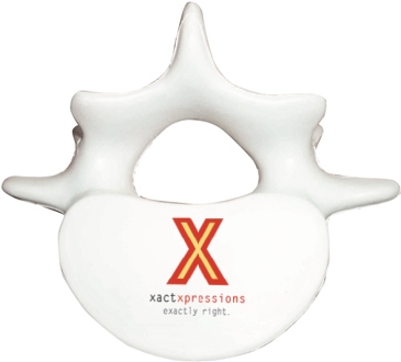 Vertebrae Stress Reliever