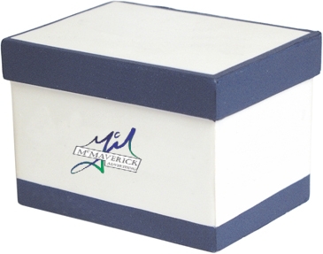 File Box Stress Reliever