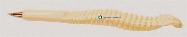 Spine Bone Pen