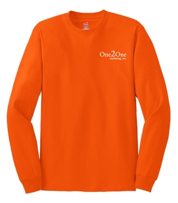 Hanes® Authentic 100% Cotton Long Sleeve T-Shirt