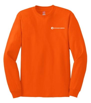Hanes® Authentic 100% Cotton Long Sleeve T-Shirt