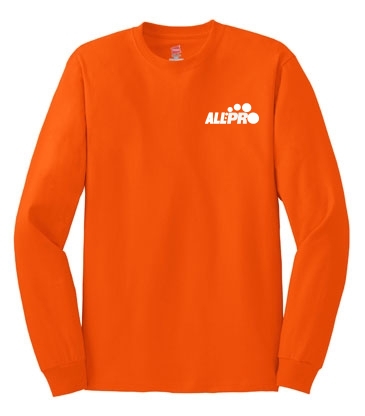 Hanes® Authentic 100% Cotton Long Sleeve T-Shirt