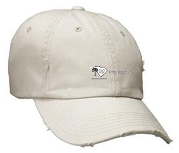 District Threads - Distressed Cap