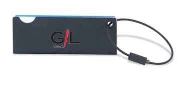 MOMA Acrylic Luggage Tag