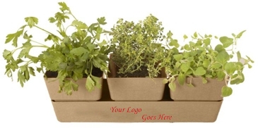 Bamboo Trio Blossom Kit