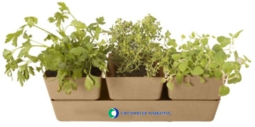 Bamboo Trio Blossom Kit