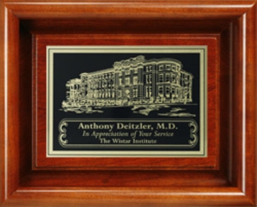Americana Shadow Box without Glass 8" x 10"