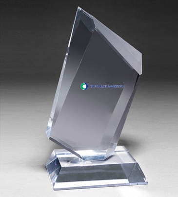 Large Summit Award