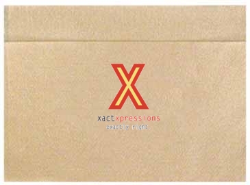 Kraft 1-ply Dispenser Napkins