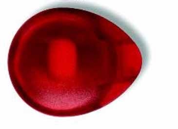 Discus Bottle Cap & Tab Opener w/Refrigerator Magnets