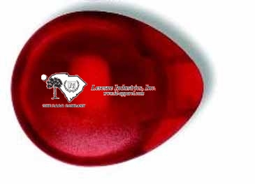 Discus Bottle Cap & Tab Opener w/Refrigerator Magnets