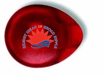 Discus Bottle Cap & Tab Opener w/Refrigerator Magnets